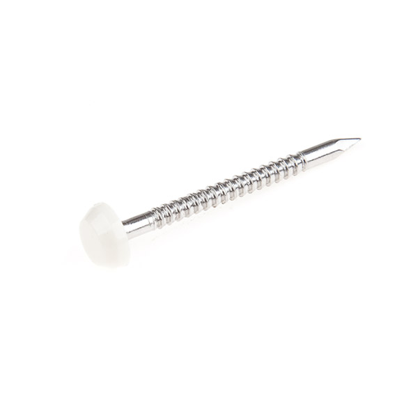 Plastic Head Pins