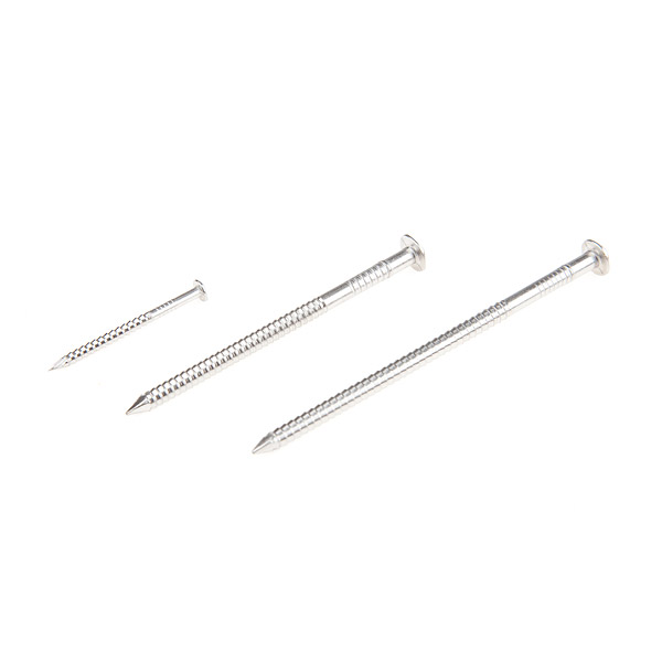 Rose Head Ring Shank Nails